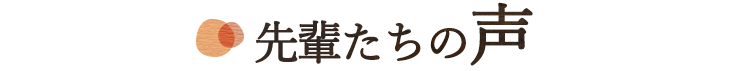 先輩たちの声